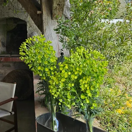 Feriehus La Maison Loustaneo Lacépède